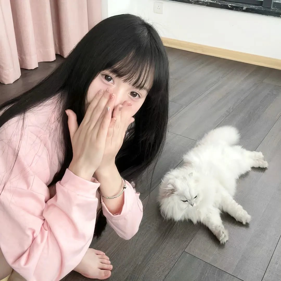 反对夫人哈德利之战